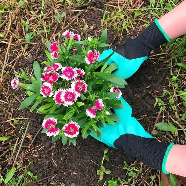2 Pairs: Garden Genius Gloves with Claws