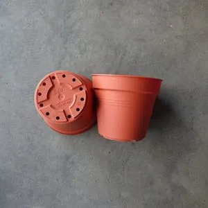 BABA TP-105 Pot (Cotta) (10.5cm¯ x 8.2cmH)