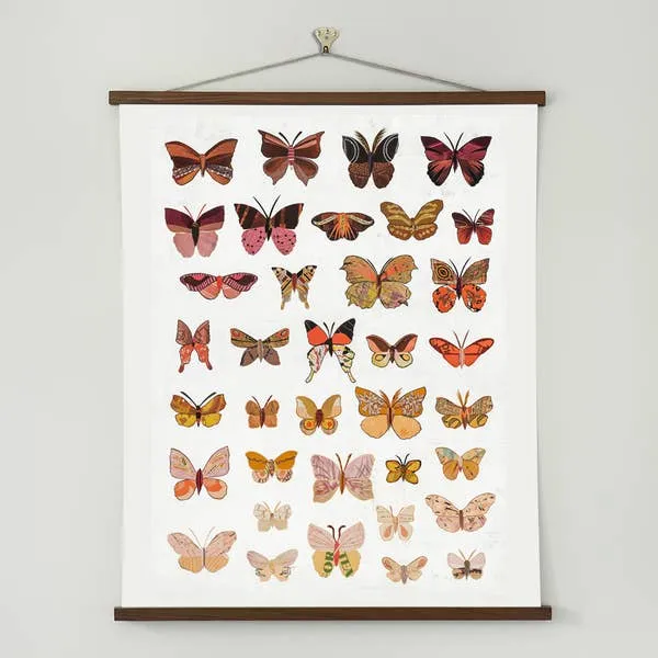 Butterflies | Dawn