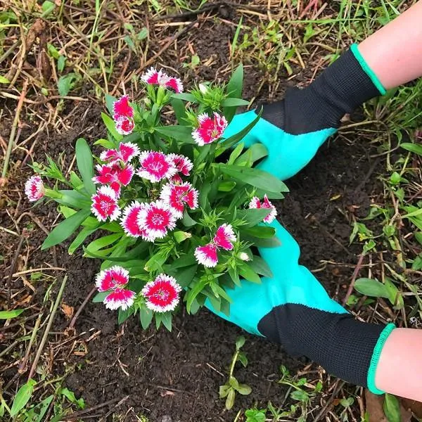 BUY MORE & SAVE MORE - Garden Genius Gloves with Claws