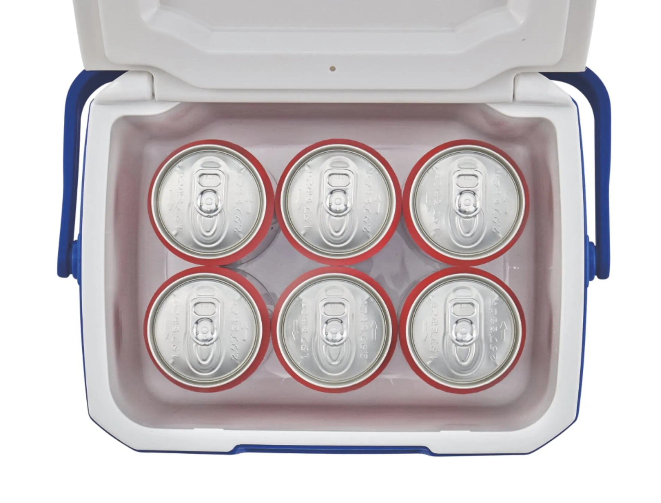 Coleman Cooler Box 5Q/4.7L