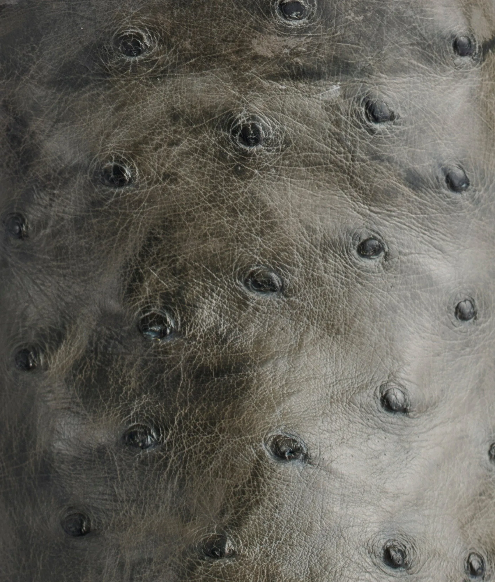 Elgin :: Anthracite