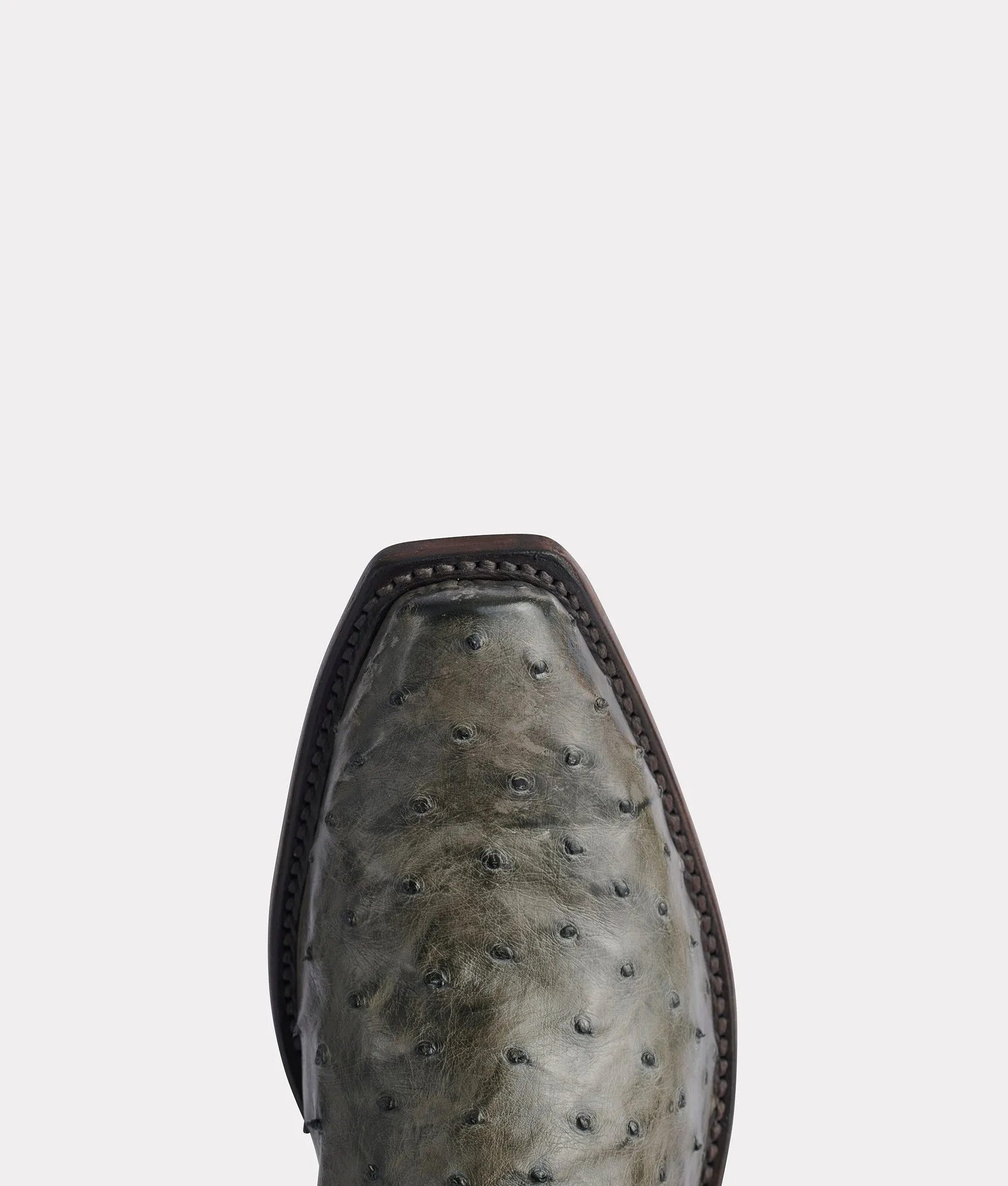 Elgin :: Anthracite