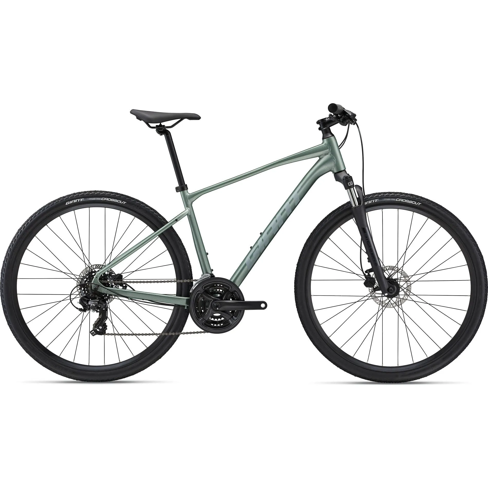 Giant Roam 4 Disc Commuter Bike