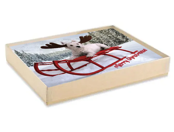 Glory To Dog Merry Christmoose and Happy Mew Year Christmas Card Boxed Set of 12 Cards and Envelopes