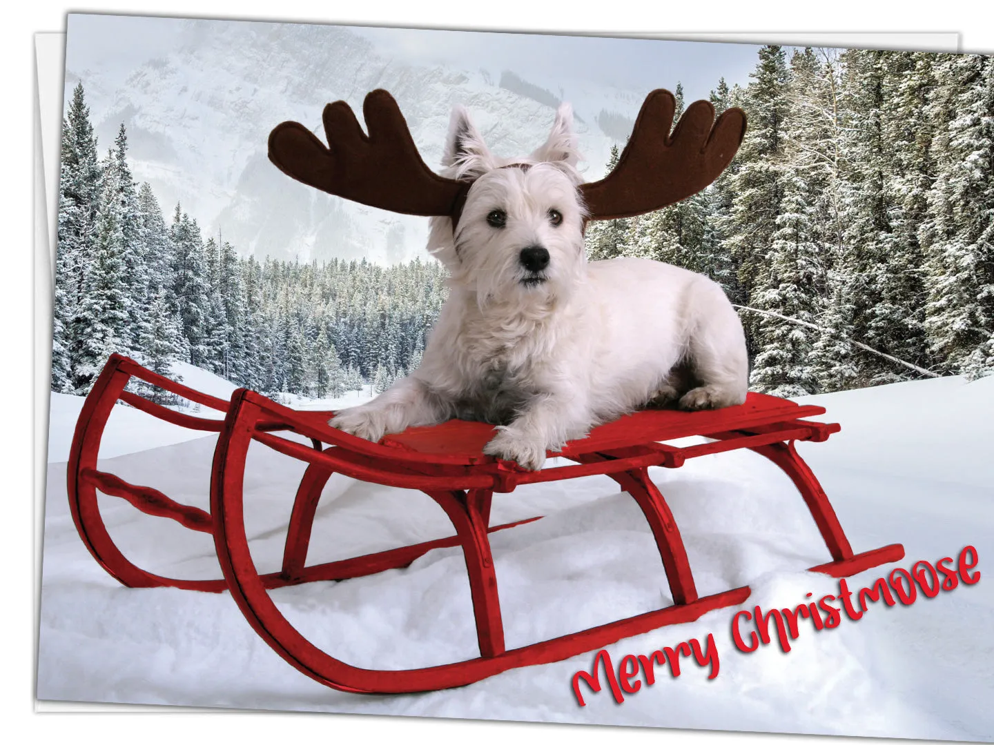 Glory To Dog Merry Christmoose and Happy Mew Year Christmas Card Boxed Set of 12 Cards and Envelopes