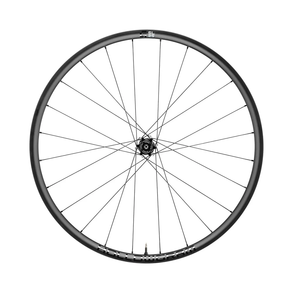 HollowGram G-SL 25 650B Wheels