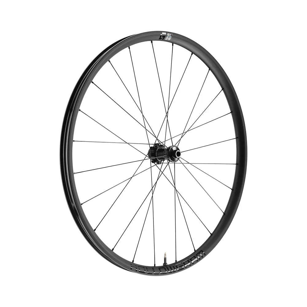 HollowGram G-SL 25 650B Wheels