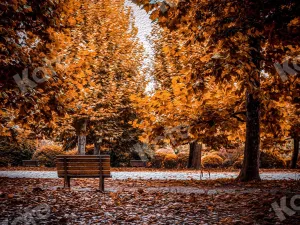 Kate Autumn Outdoor Park Backdrop Designed by Jia Chan Photography