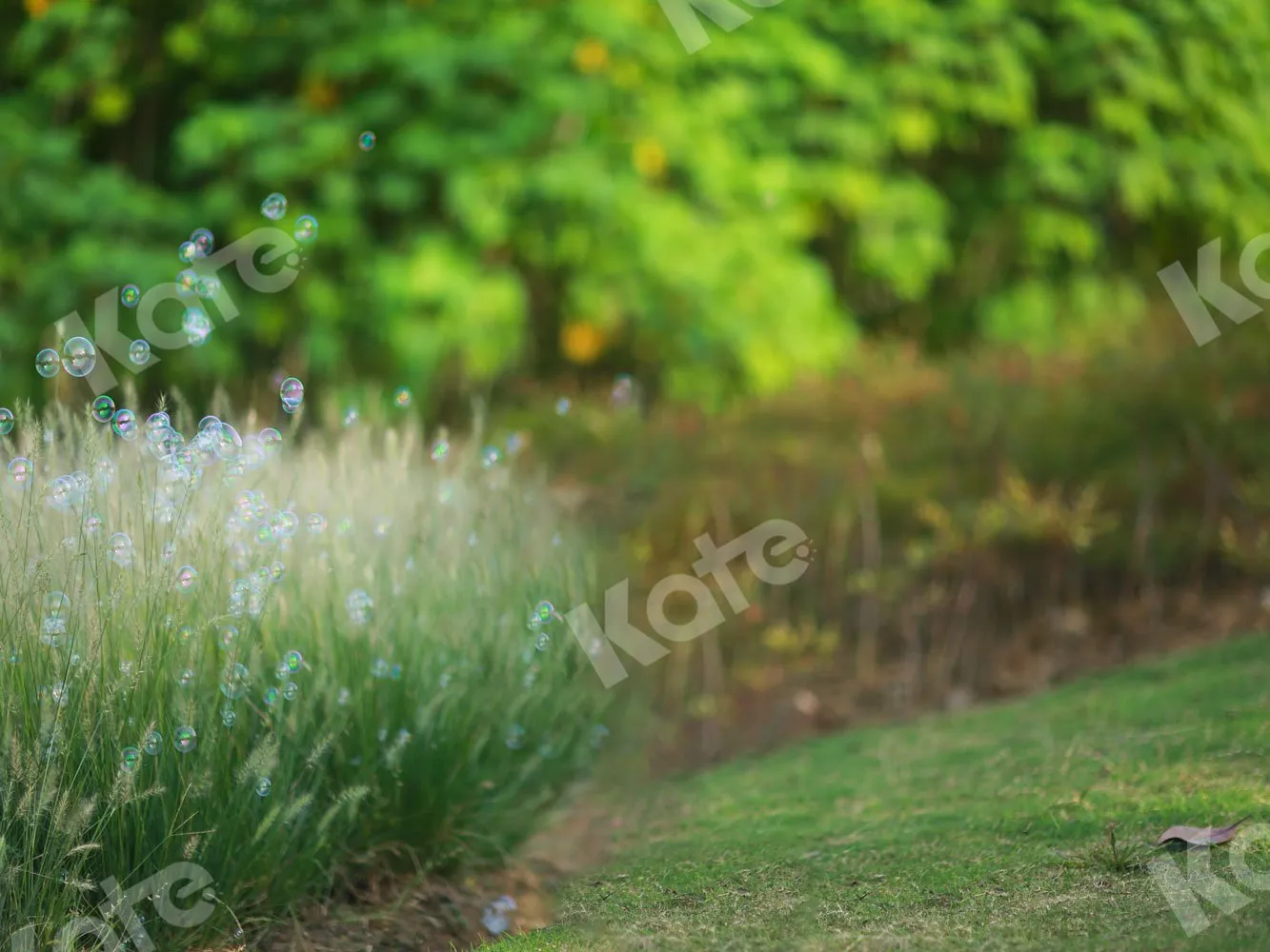 Kate Outdoor Spring Grass Backdrop for Photography