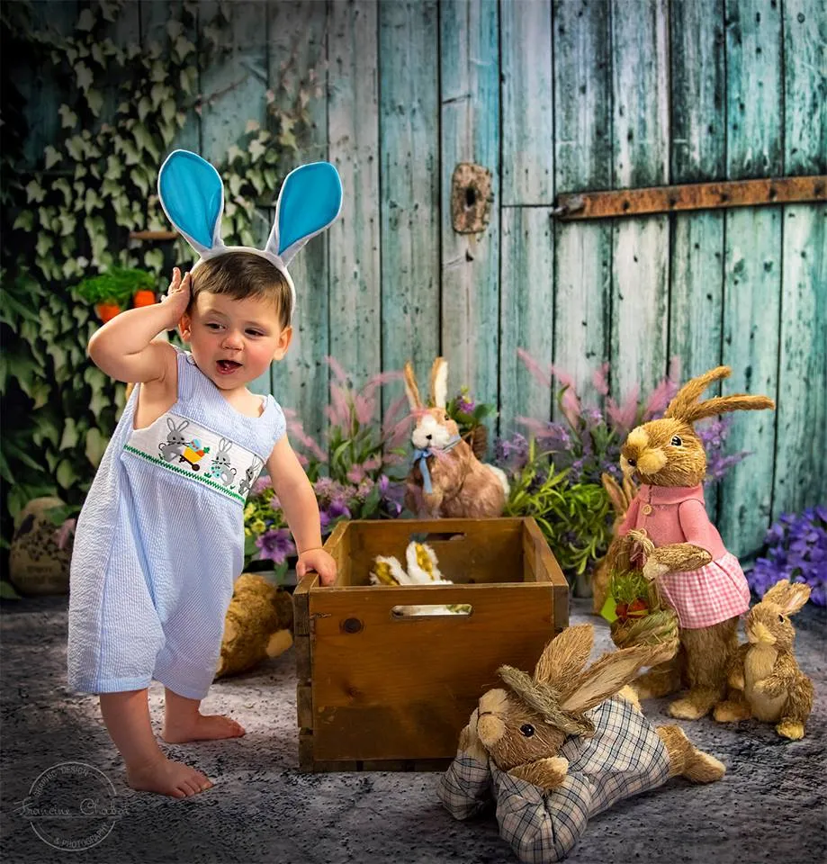 Kate Wooden Wall Barn Backdrop For Outdoor Photography