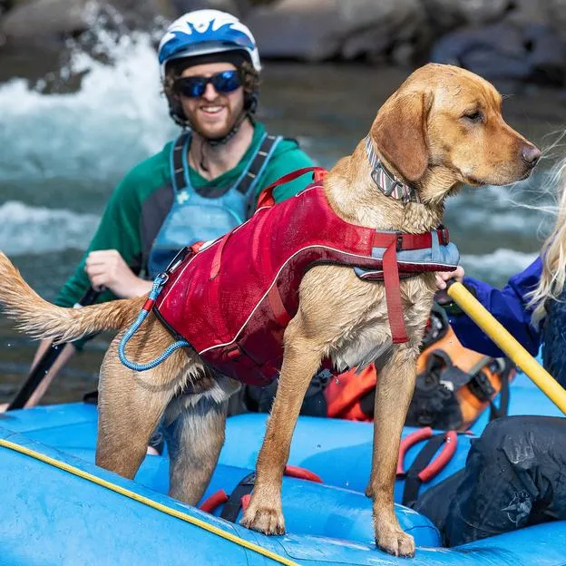 Kurgo Surf n' Turf Life Jackets