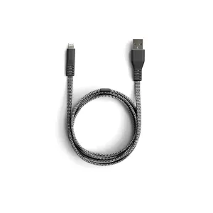 Lander Neve Lightning USB Cable, 10 ft