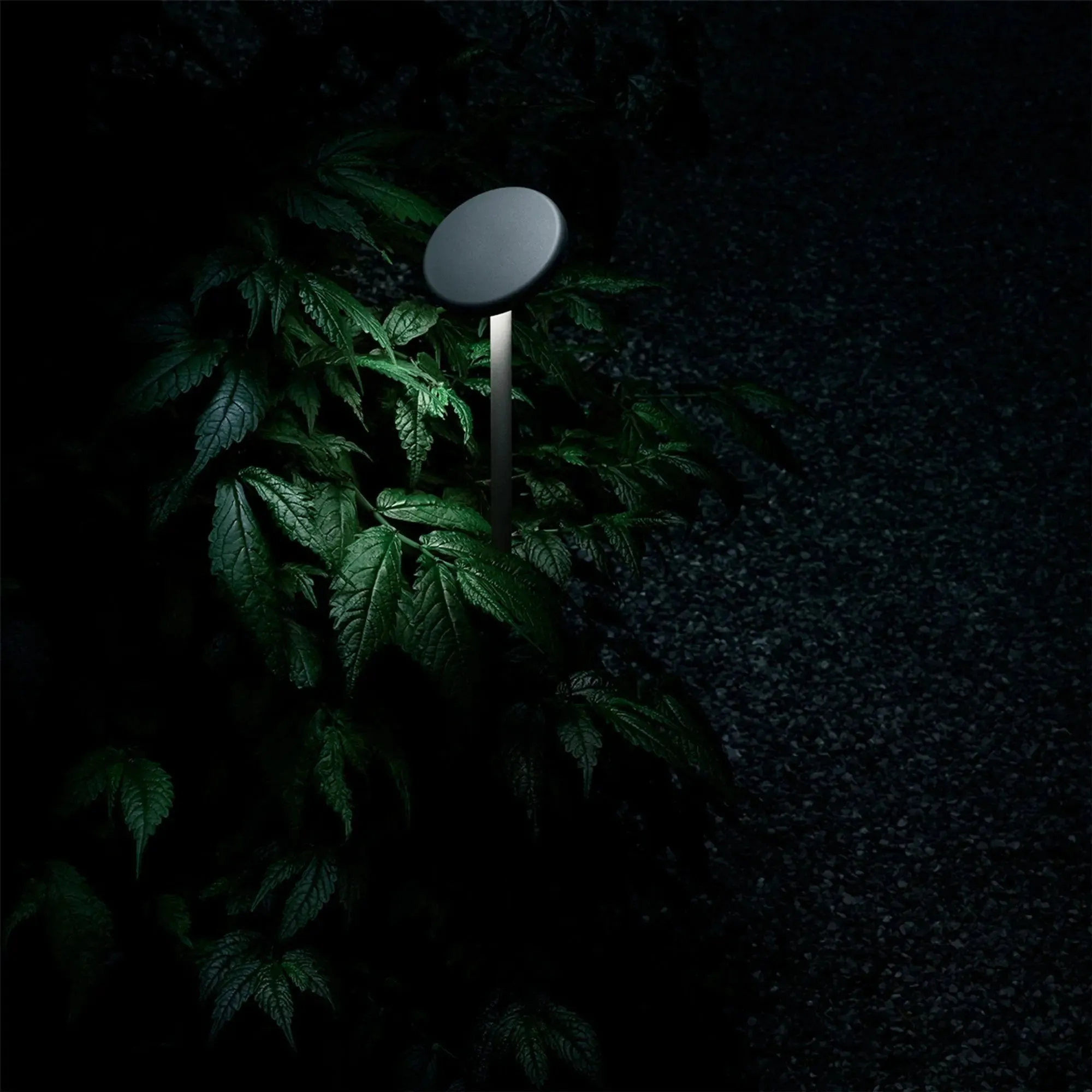 Landlord Soft - Outdoor Bollard