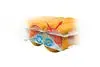Nemo Tensor™ Ultralight Sleeping Pad