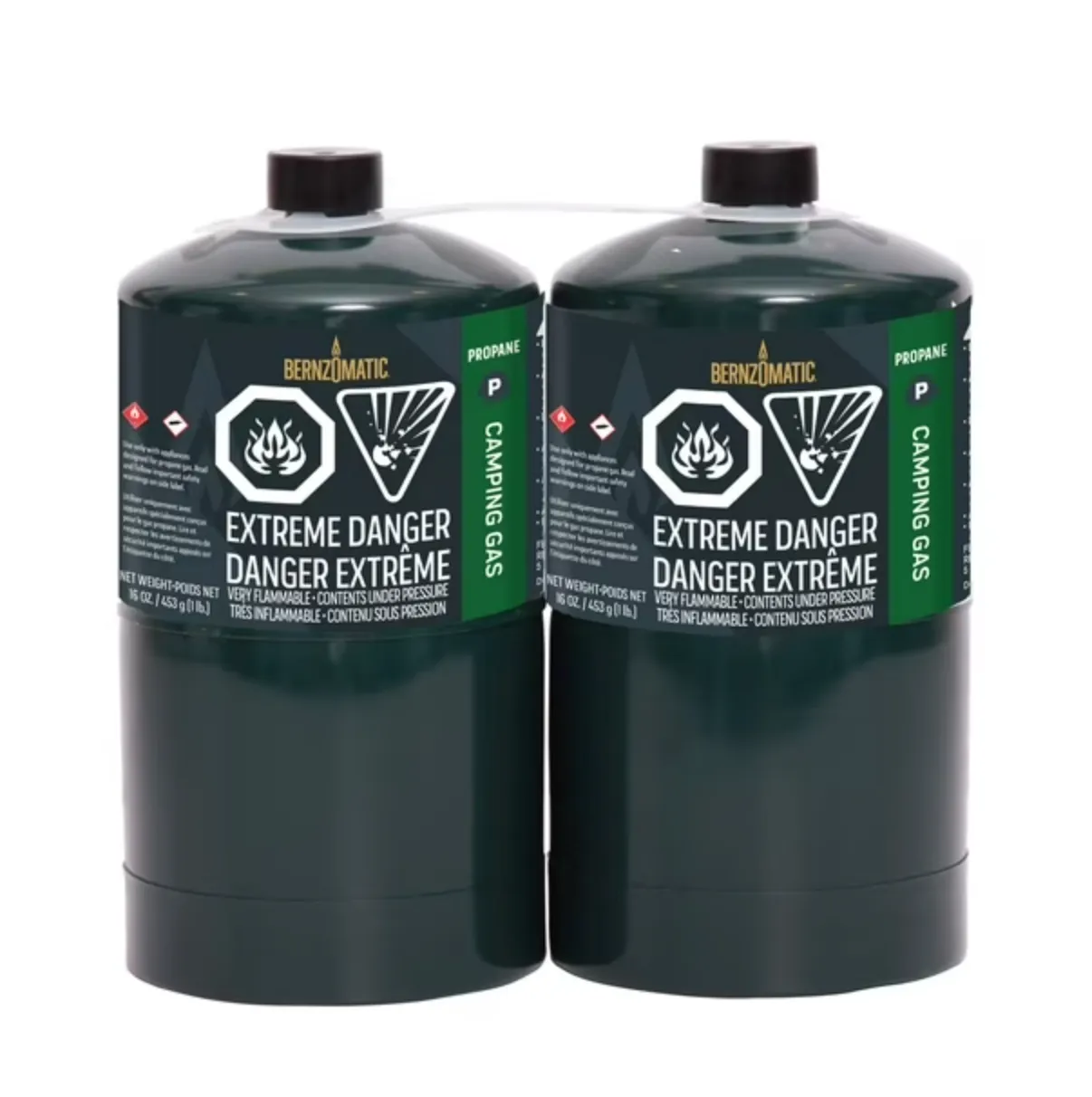 New Bernzomatic Propane Camping Gas Cylinder - 2 Pack