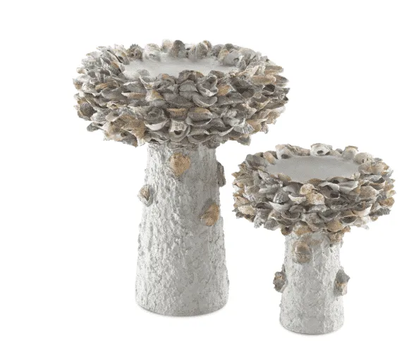 Oyster Shell Bird Bath - Various Sizes