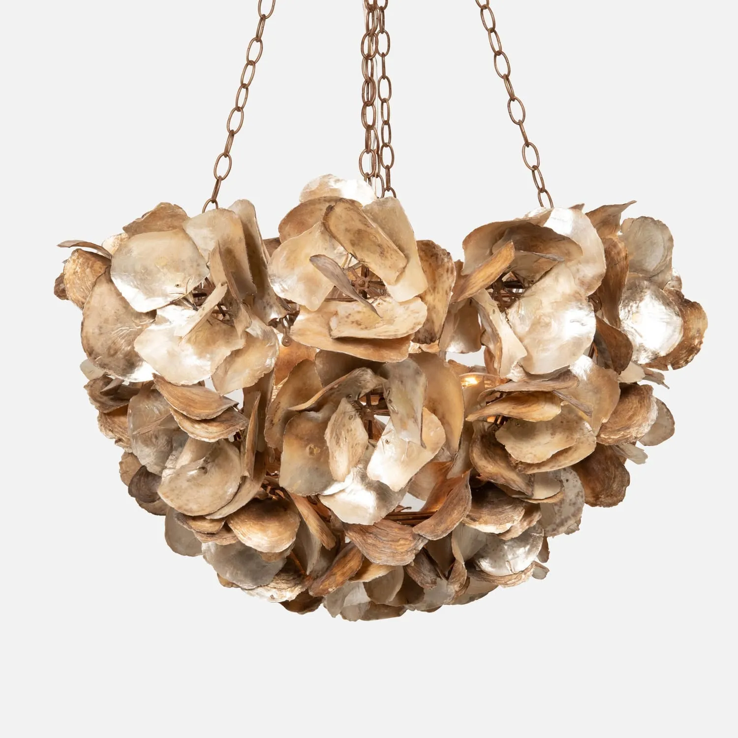 Oyster Shell Petal Chandelier