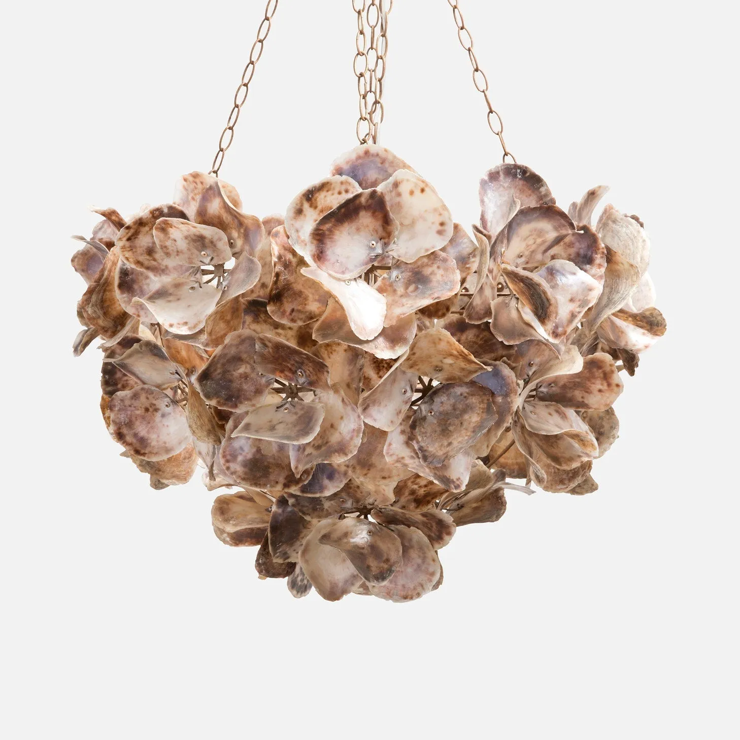 Oyster Shell Petal Chandelier