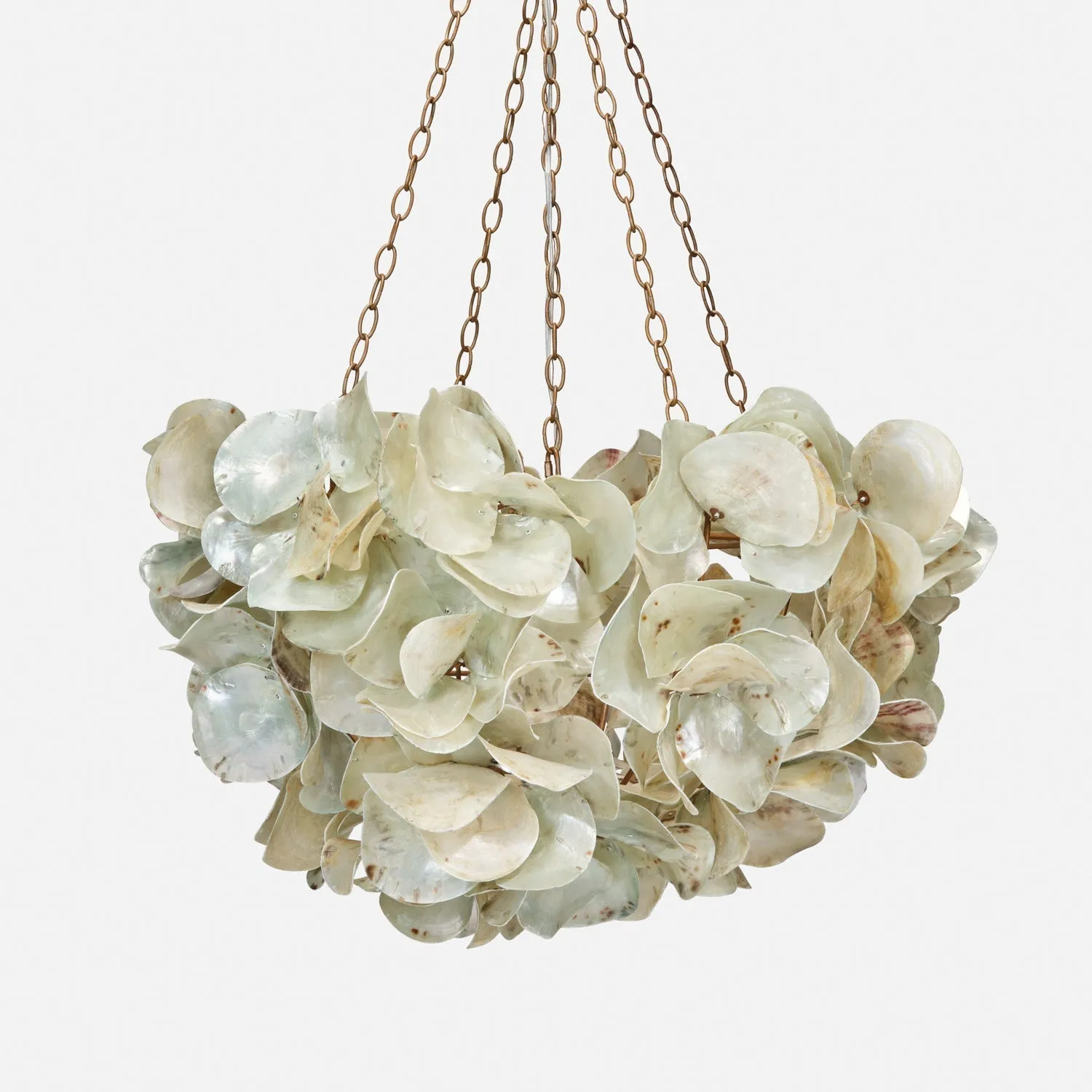 Oyster Shell Petal Chandelier