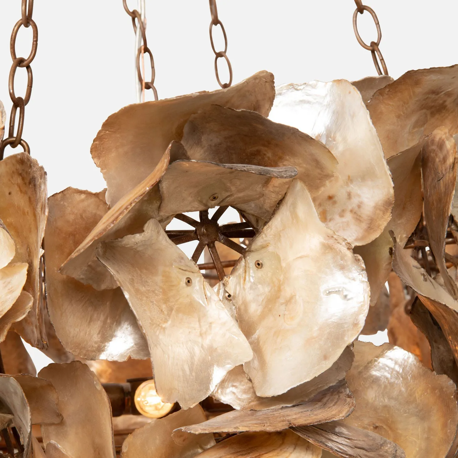 Oyster Shell Petal Chandelier