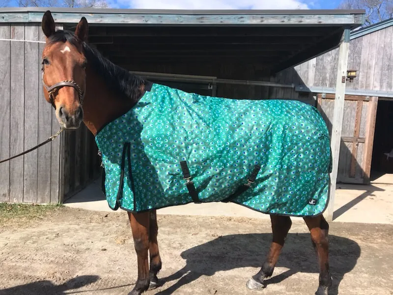 "Peacock" Medium Weight Turnout Blanket (USA SHIPPING ONLY)