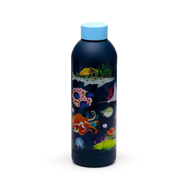 Reusable Stainless Steel Insulated Drinks Bottle 530ml - Marine Kingdom