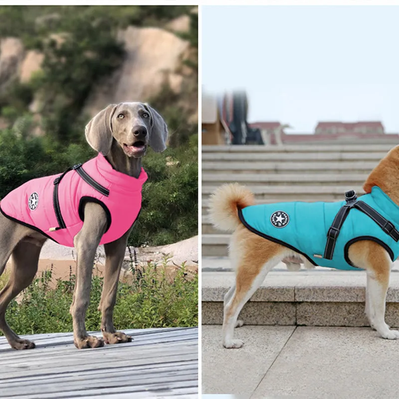 Waterproof Winter Jacket for Dogs