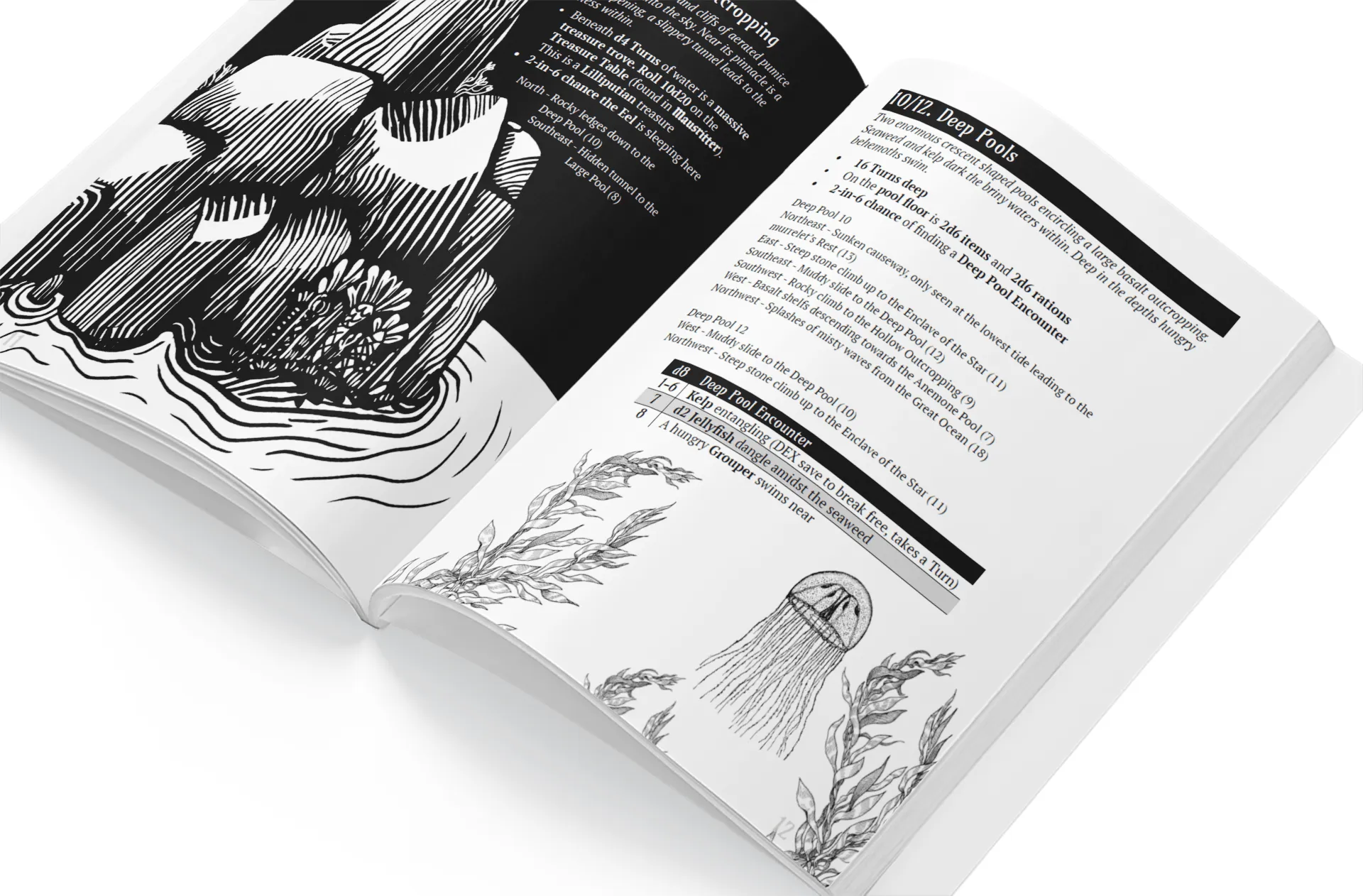What Lies Within the Pools Which Lie Upon the Shoreline?   PDF