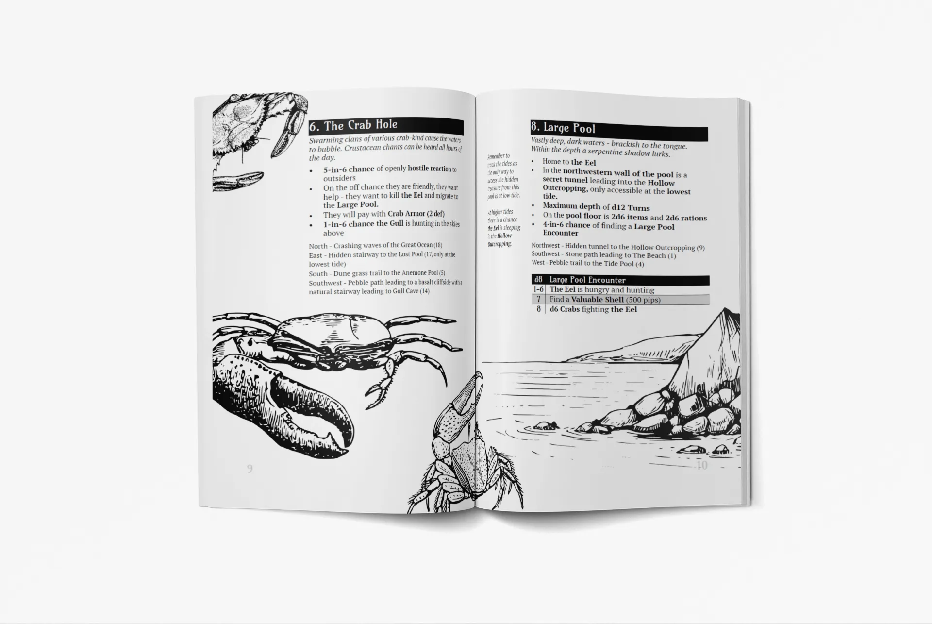 What Lies Within the Pools Which Lie Upon the Shoreline?   PDF