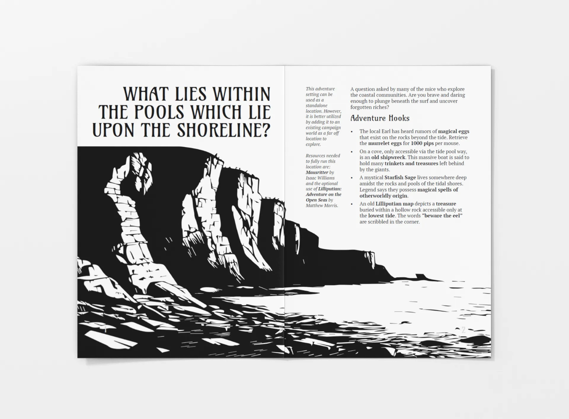 What Lies Within the Pools Which Lie Upon the Shoreline?   PDF