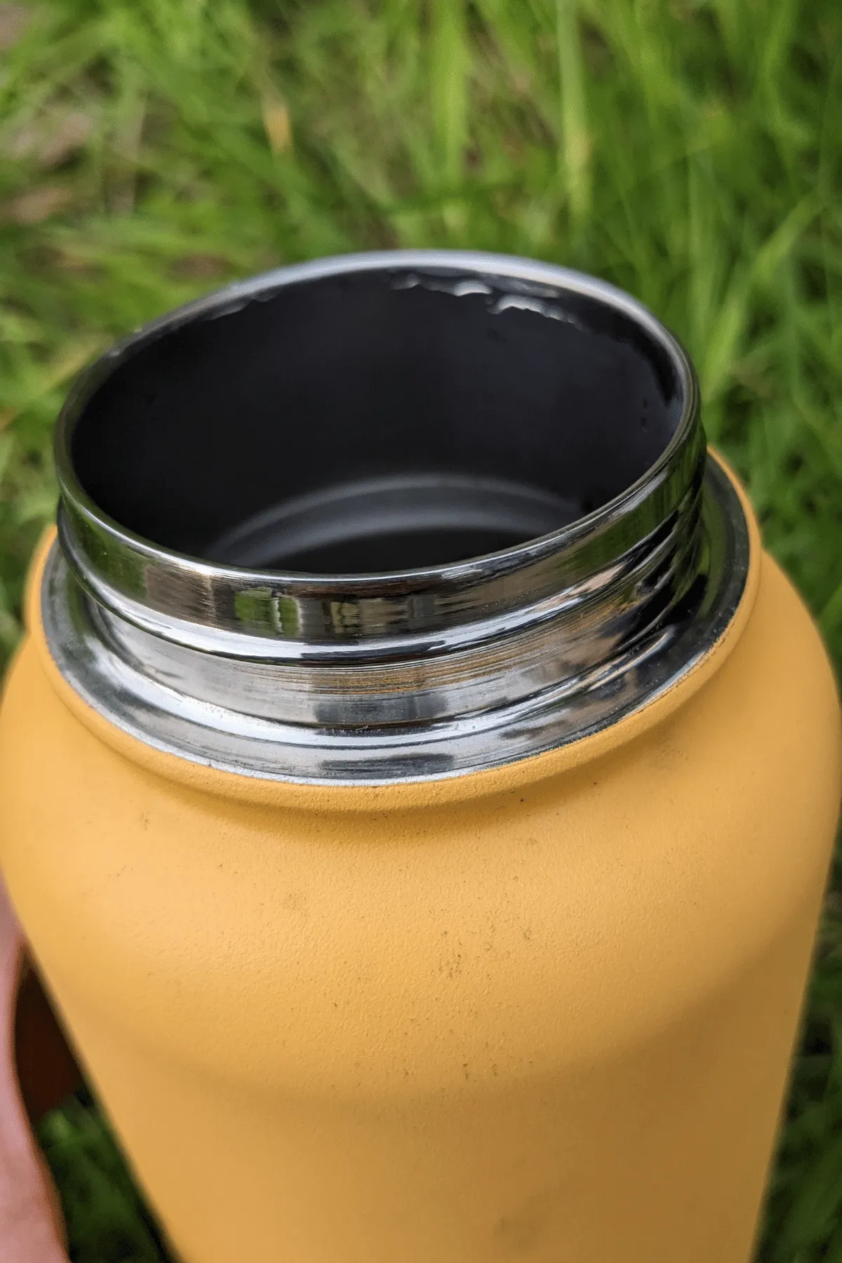 Wild Roots Siesta Snack Bottle 900ml Vacuum Insulated